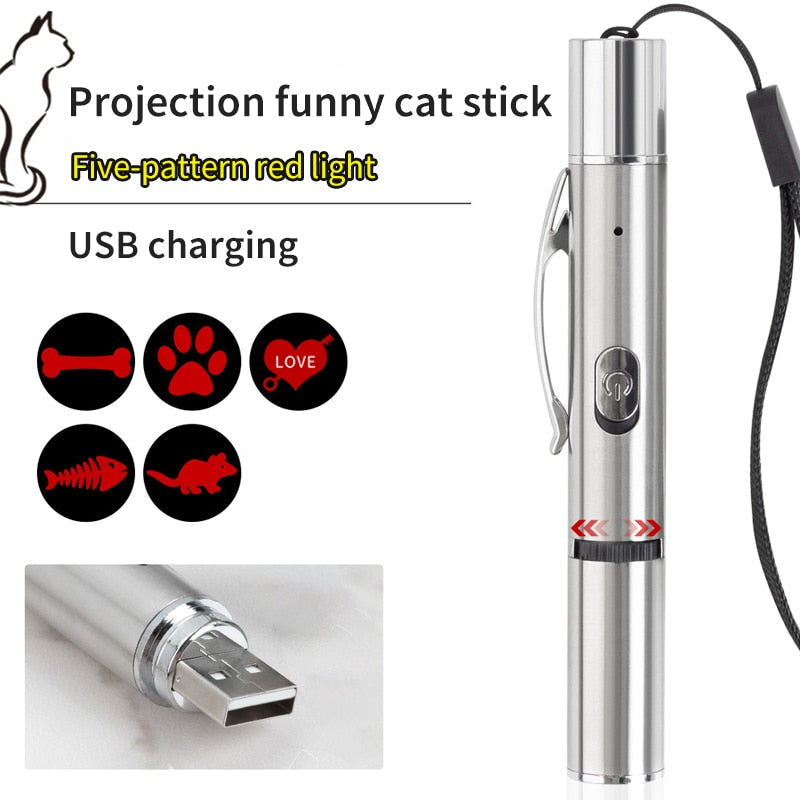 Pet Laser Pointer