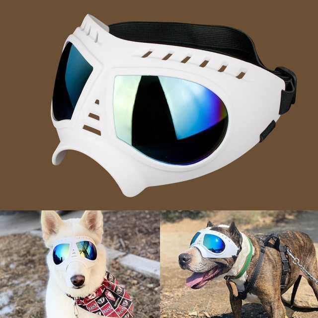 Dog Goggles