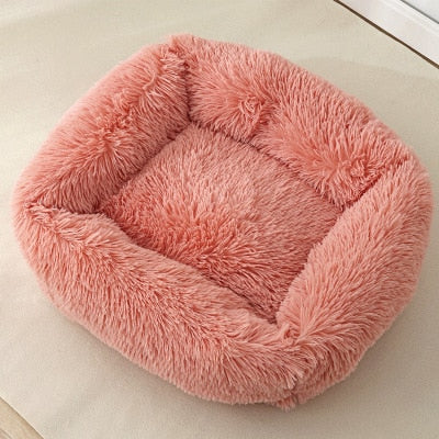 Pet Bed