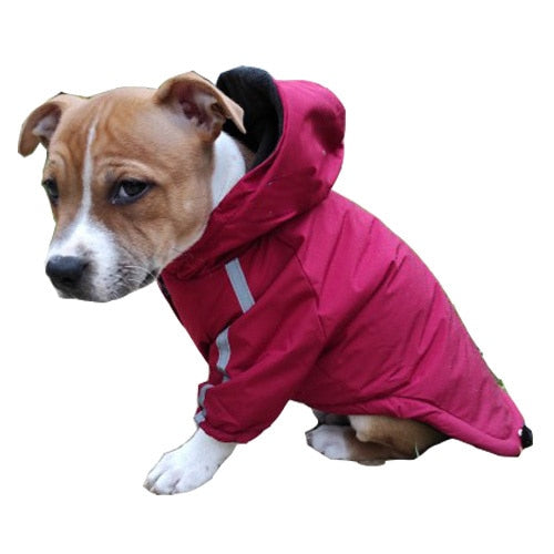 Pet Hoodie