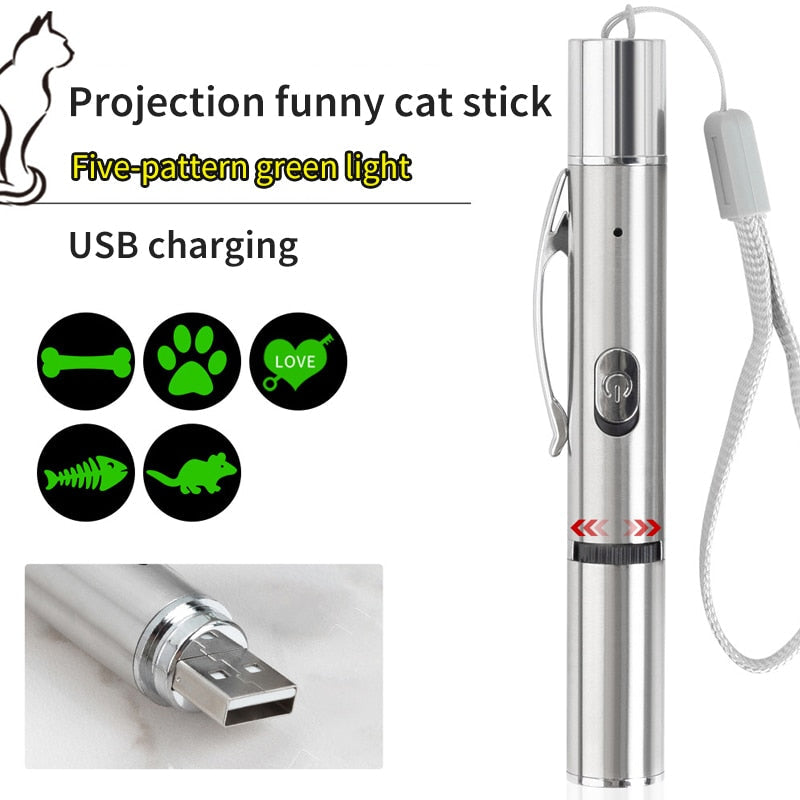 Pet Laser Pointer