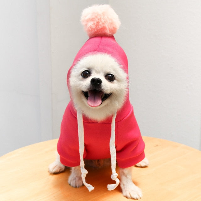 Fruit Pet Coat Hoodies