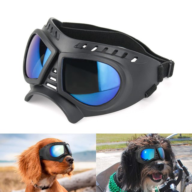 Dog Goggles