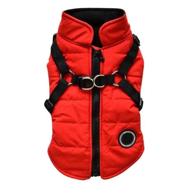 Pet Coat With Harness