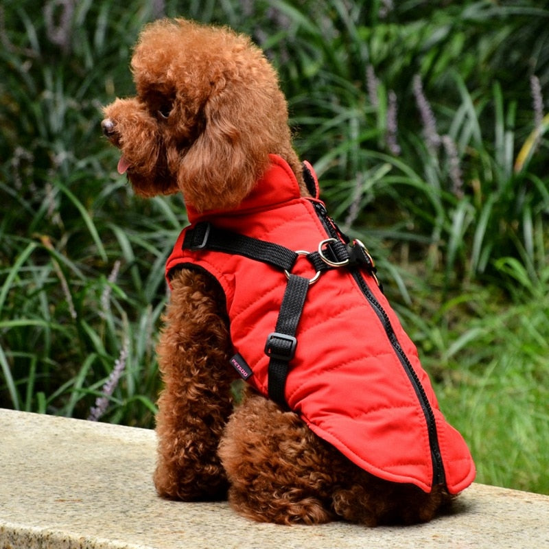 Pet Coat With Harness