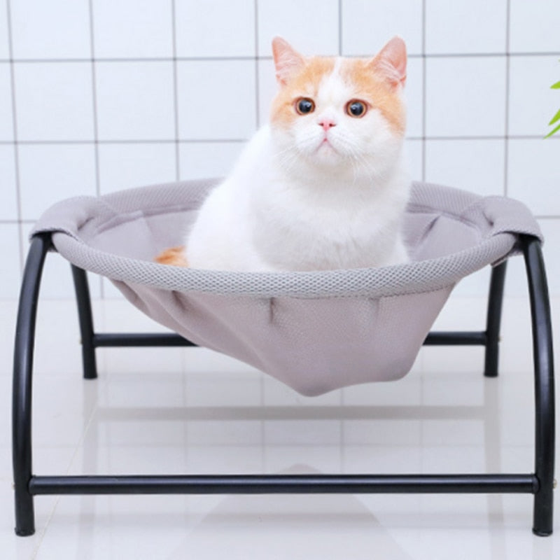 Pet Hammock