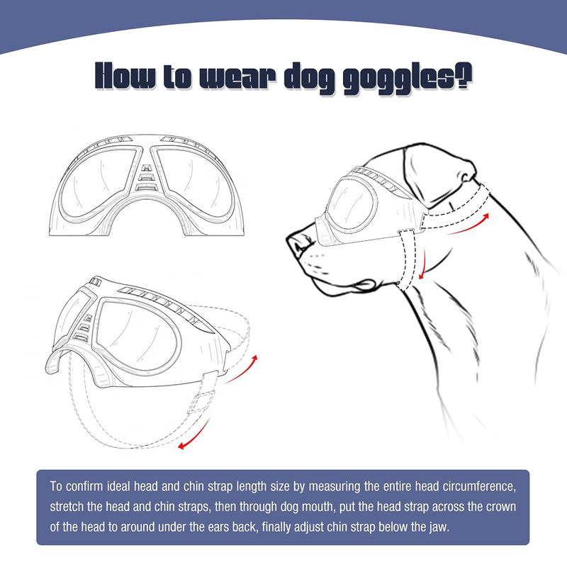 Dog Goggles