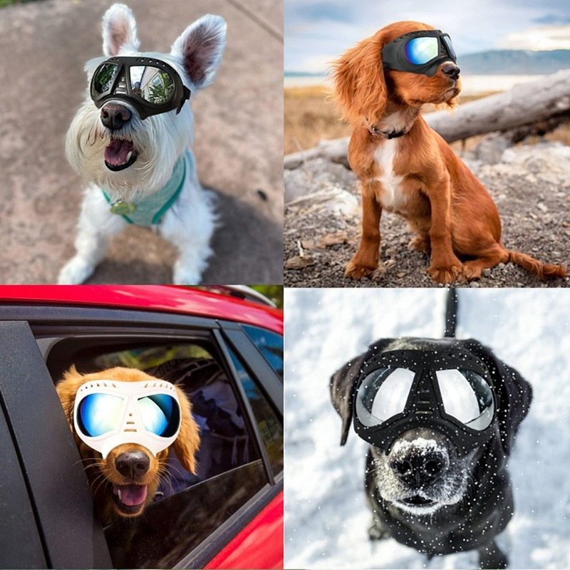 Dog Goggles