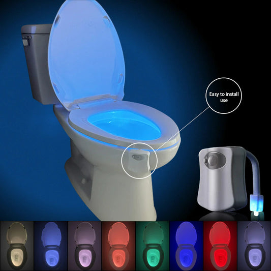 LED Toilet Bowl