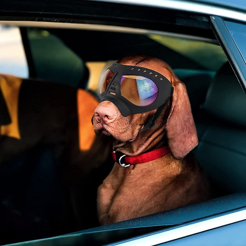 Dog Goggles