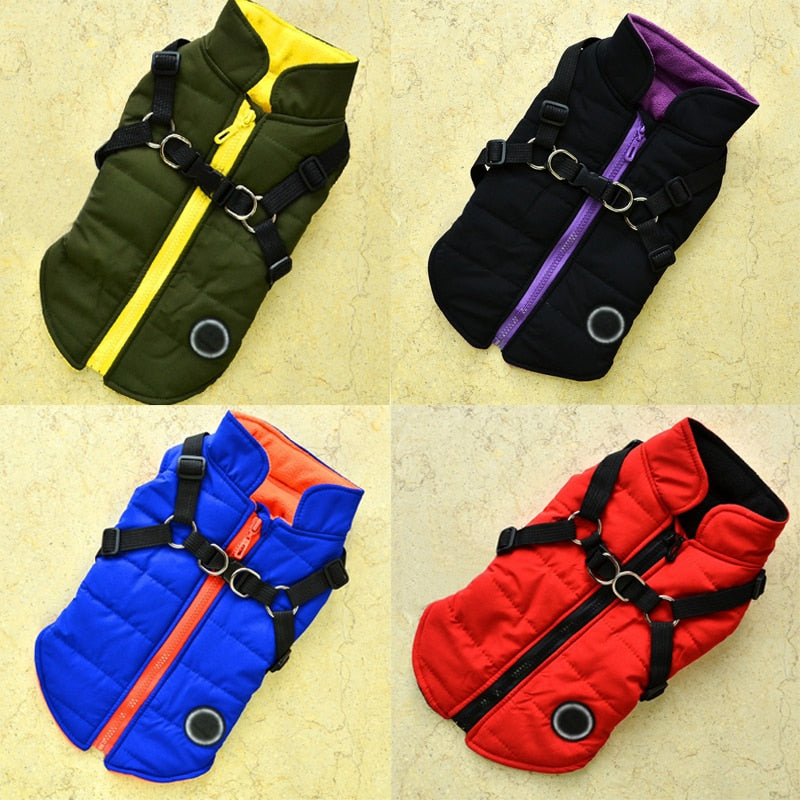 Pet Coat With Harness