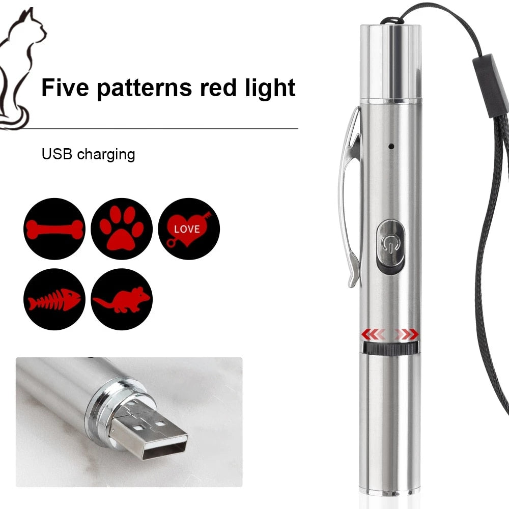 Pet Laser Pointer