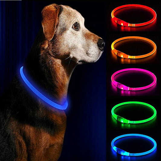 LED Dog Collars