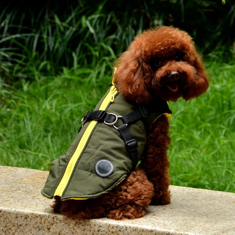 Pet Coat With Harness