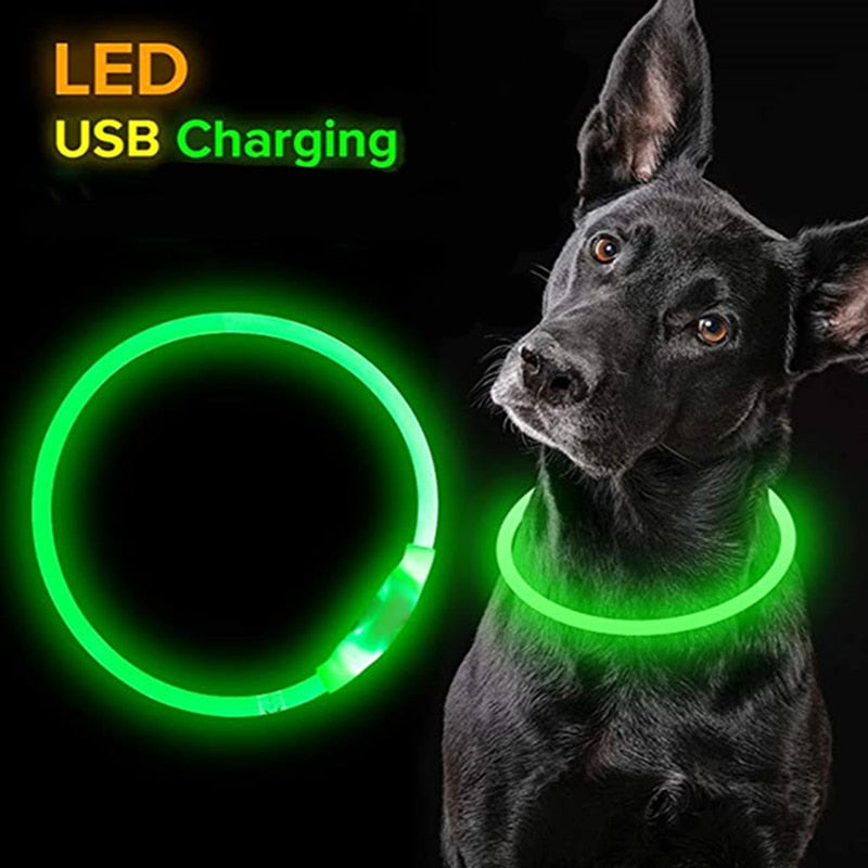 LED Dog Collars