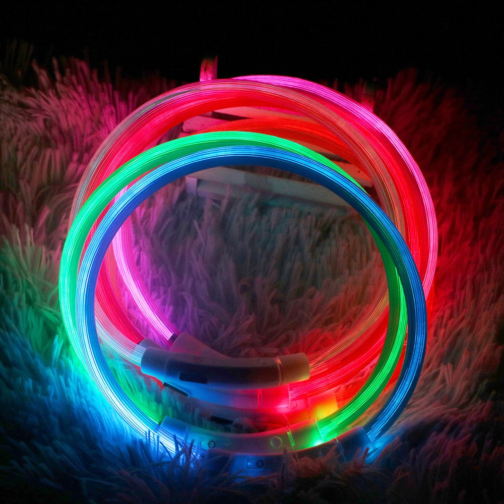 LED Dog Collars