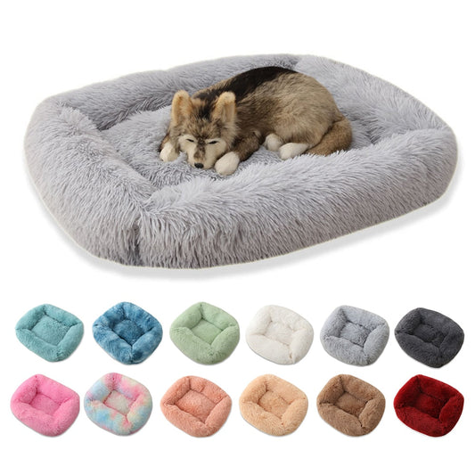 Pet Bed