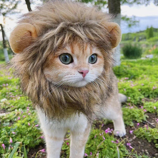 Lion Mane Cat Costume